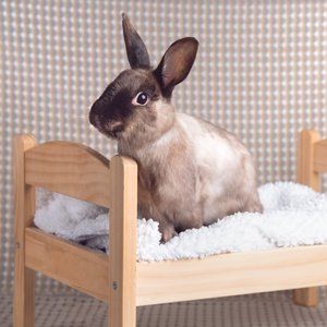 IKEA DUKTIG Pet bed with bedlinen set, pine, multicolor